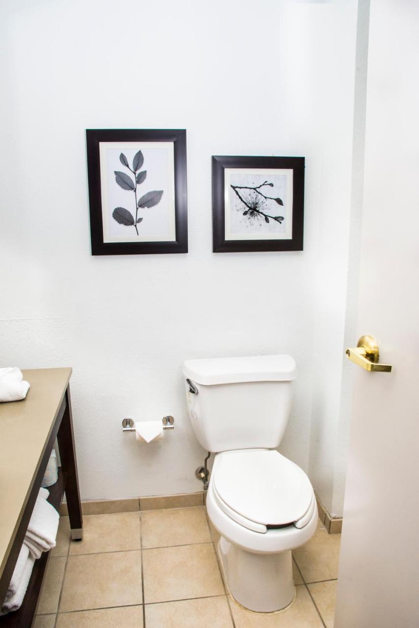 Country Inn & Suites By Radisson, Winchester, Va מראה חיצוני תמונה